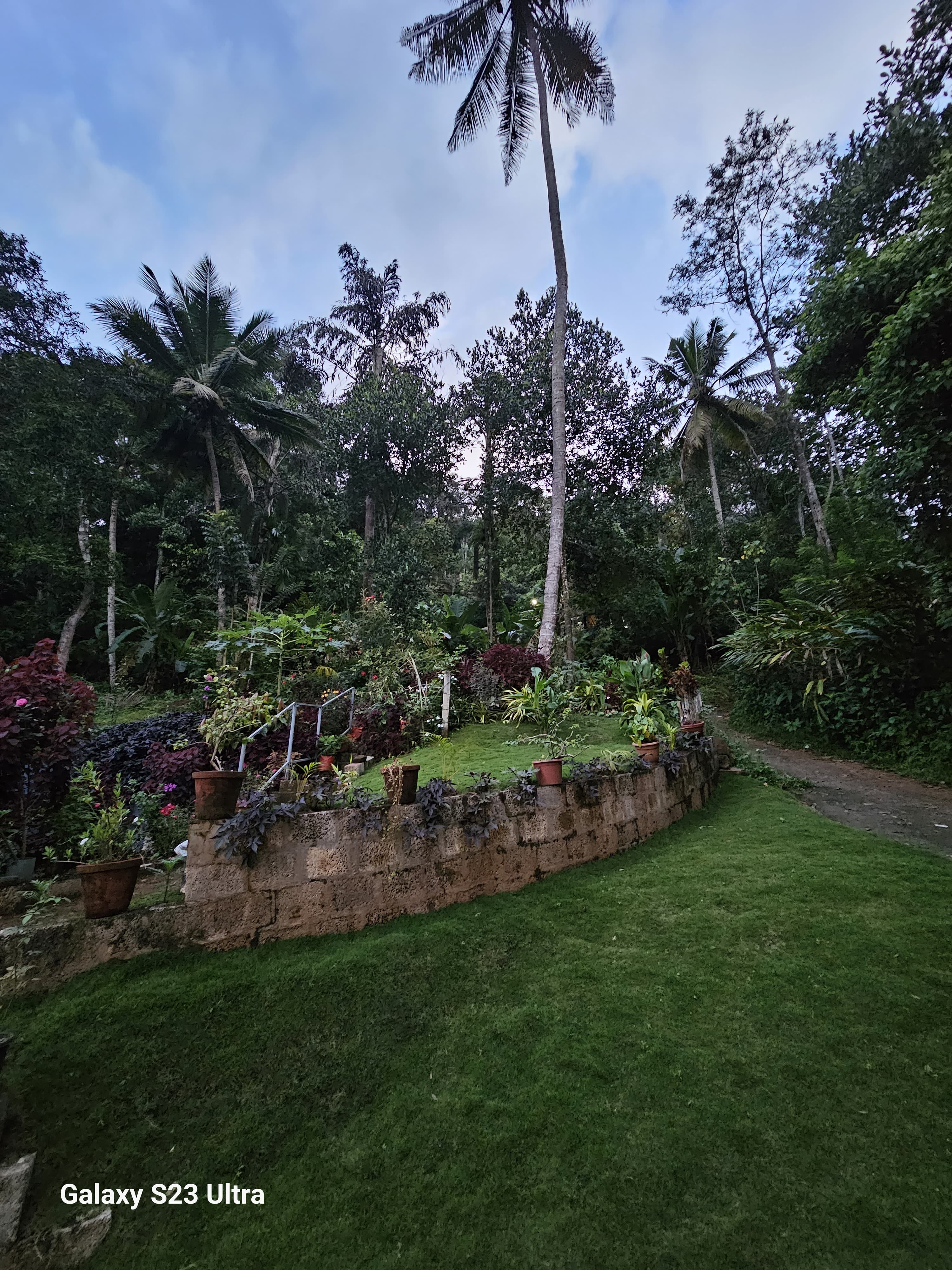 Outdoor area